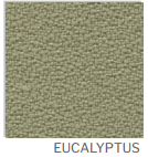 Eucalyptus