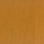 Maple-Medium-9880