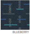 blueberry